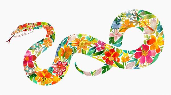 屬蛇的女人和什么屬相最配，屬蛇女最佳婚配：牛猴雞締結(jié)良緣佳偶天成