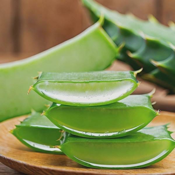 蘆薈敷臉的正確方法，15字學會蘆薈敷臉的正確方法與避坑指南