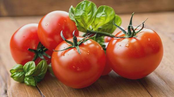 西紅柿減肥的正確方法，營養(yǎng)師推薦：西紅柿減肥的15天高效燃脂方案