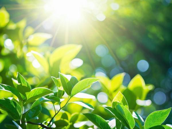 物理防曬霜和化學防曬霜區別，物理防曬反射光化學防曬吸收光的本質區別