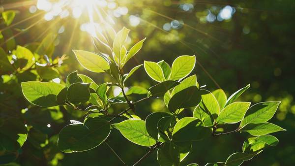 物理防曬霜和化學防曬霜區別，物理防曬反射光化學防曬吸收光的本質區別