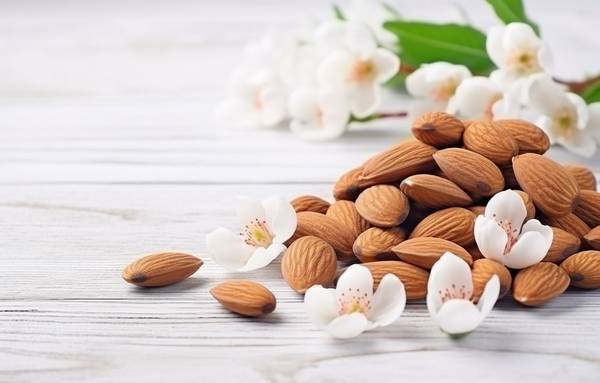 巴旦木仁和杏仁的區別，揭露巴旦木仁與杏仁的四大核心差異：營養與用途深度對比