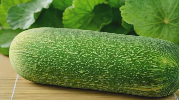 冬瓜怎么吃減肥效果最好，10種美味冬瓜減肥食譜助你高效燃脂