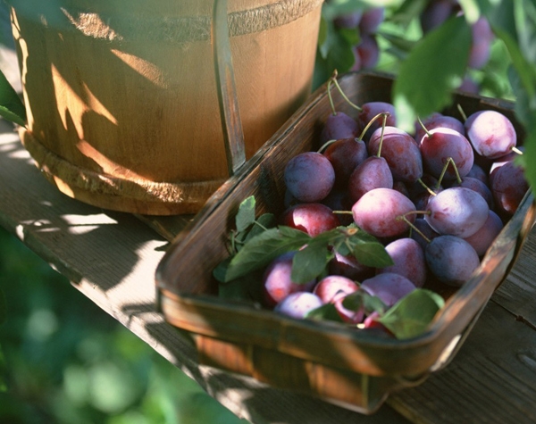 美容編輯不會告訴你 她們每天都會做這些“小動作”！